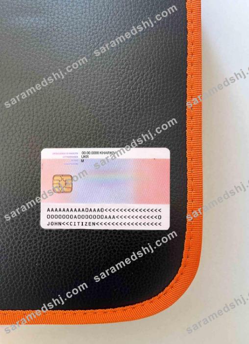 Italy residence permit card (soggiorno) photolook BACK